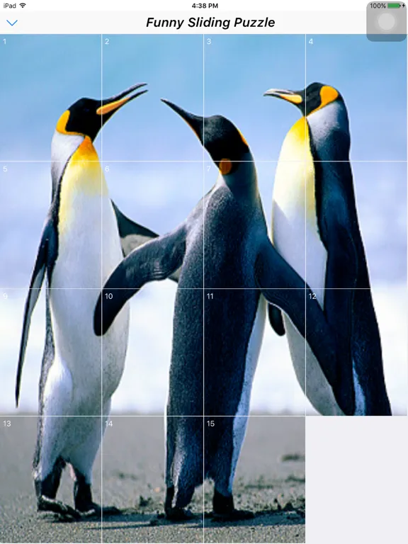 Capturas de tela do Funny Sliding Puzzle - Classic iPad 
