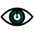 Eye Need A Witness