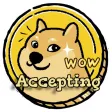 Accept DOGE