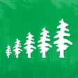 The Pines School