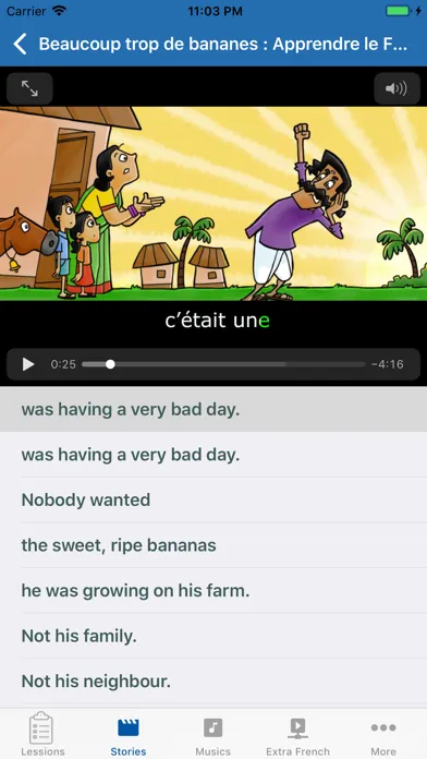 Captures d'écran de French Language