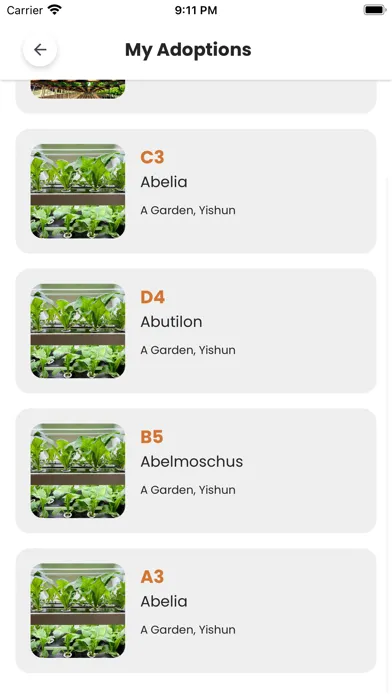 Скриншоты Green Sprouts
