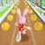 Bunny Rabbit Runner