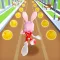 Bunny Rabbit Runner