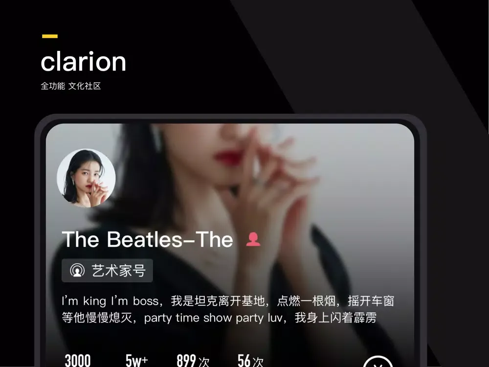 Скриншоты Clarion iPad 