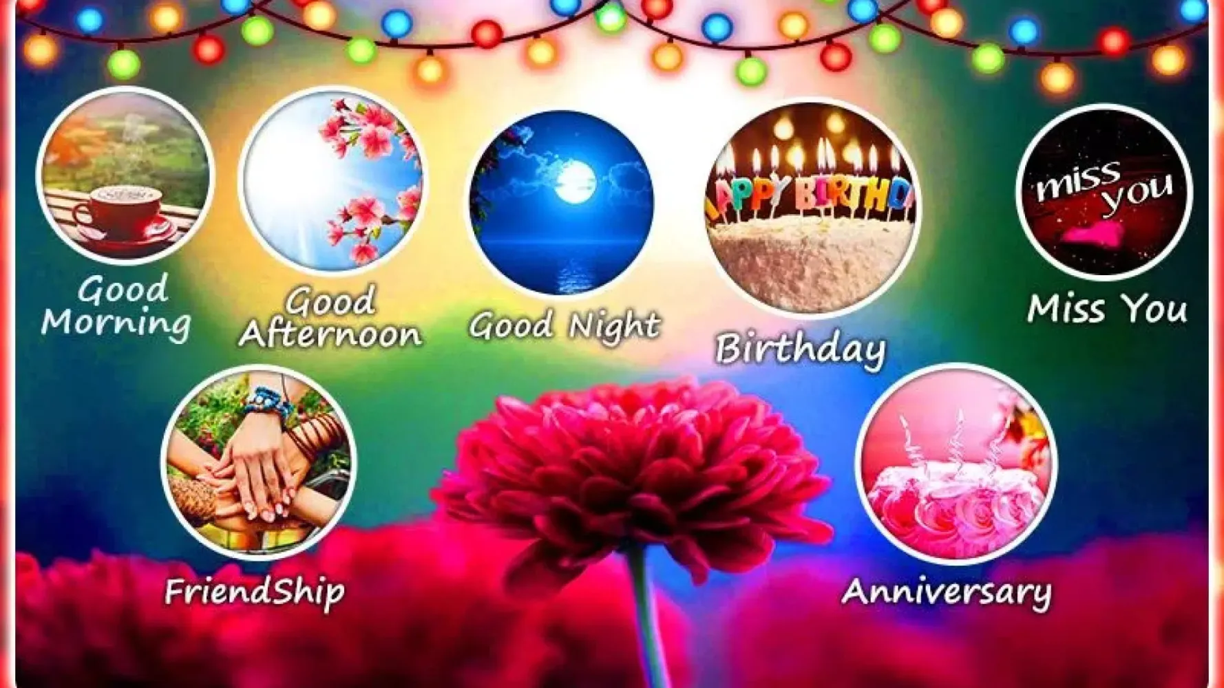 Capturas de tela do All Wishes GIF