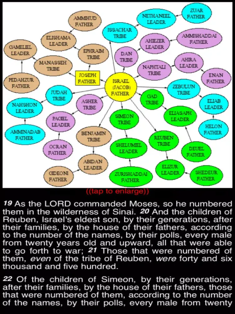 Summary King James Bible (part 2) iPad 应用截图