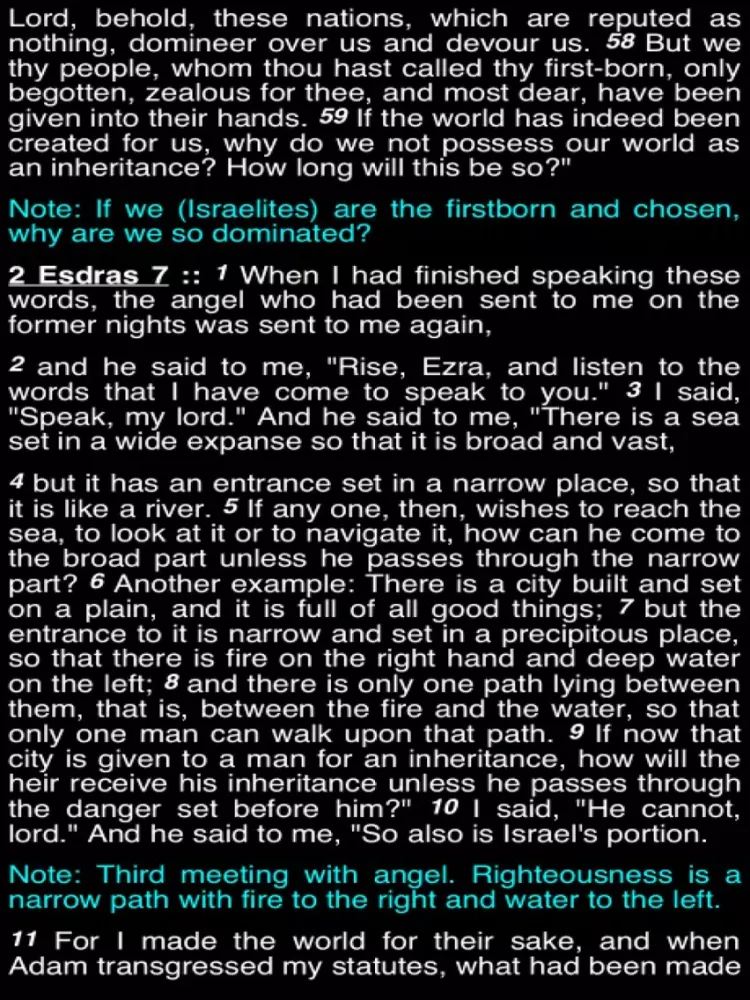 Summary Old Testament Apocrypha (Part 1) iPad  Screenshots