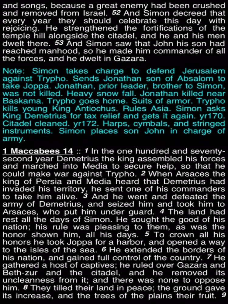 Zrzuty ekranu Summary Old Testament Apocrypha (Part 2) iPad 