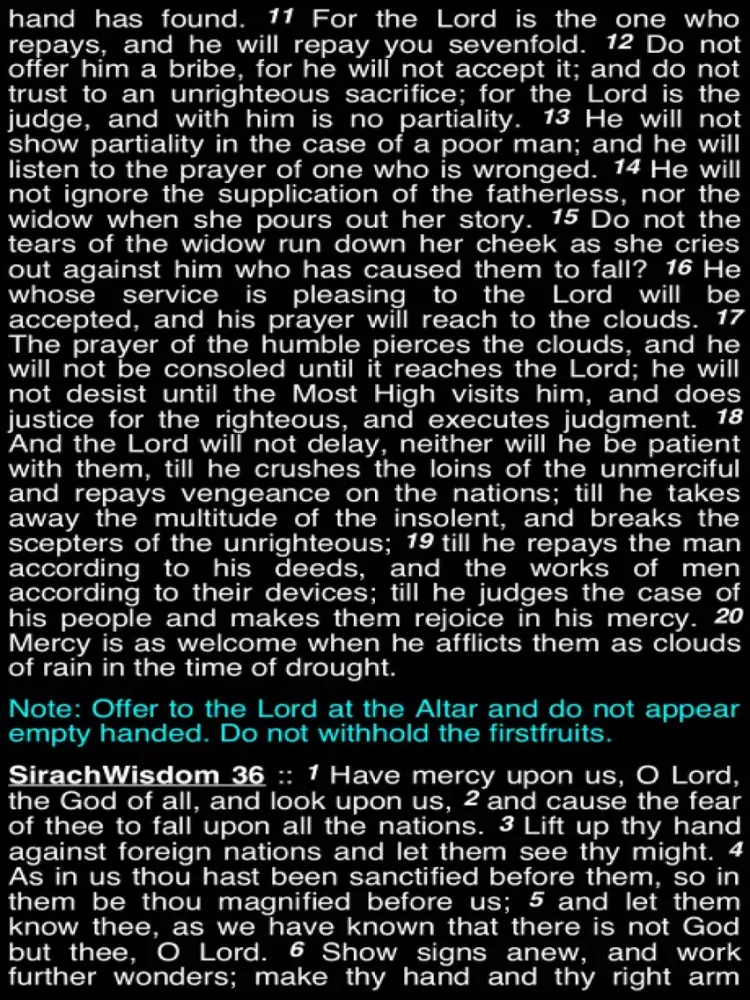 Summary Old Testament Apocrypha (Part 3) iPad  سکرین شاٹس