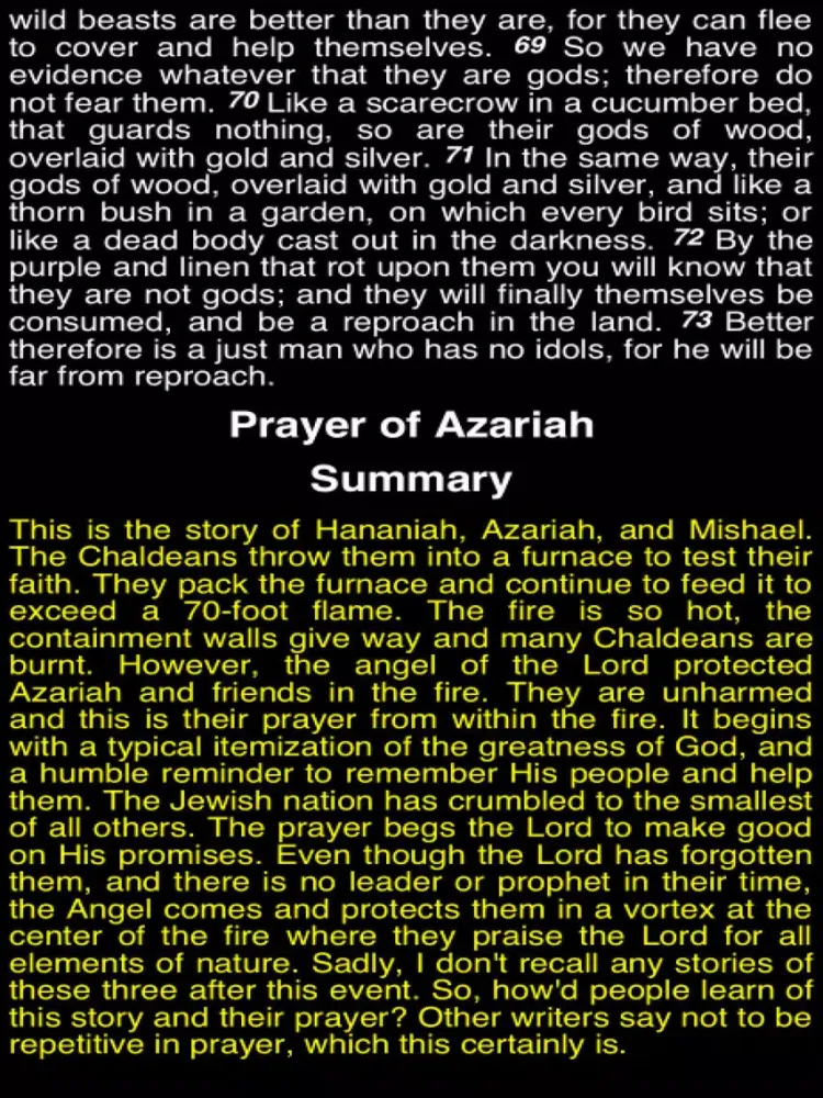 Captures d'écran de Summary Old Testament Apocrypha (Part 4) iPad 