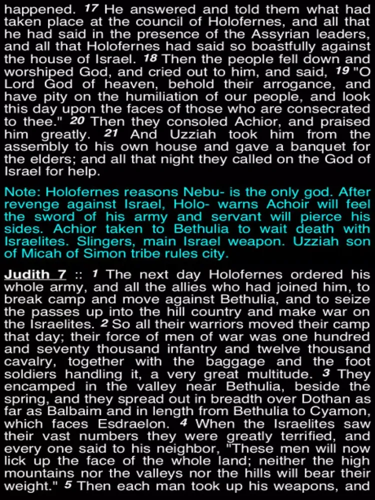 Captures d'écran de Summary Old Testament Apocrypha (Part 4) iPad 