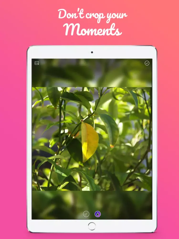 Capturas de pantalla de Resizer Story for Instagram iPad 