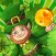 Green Leprechaun