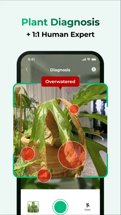 Plant Care Tracker, Help Water سکرین شاٹس