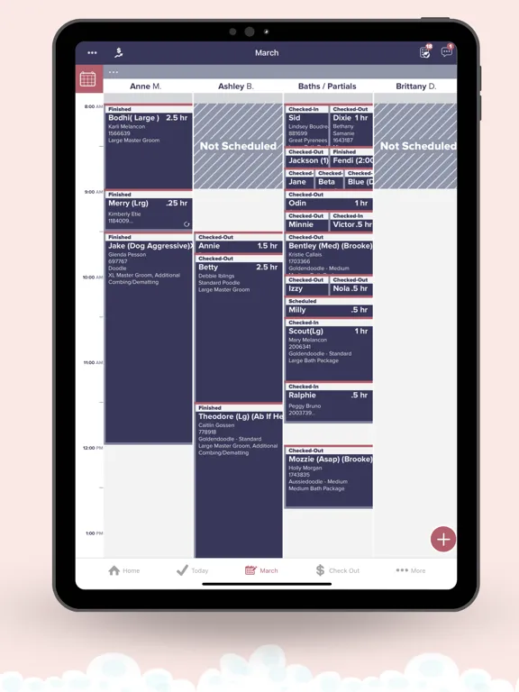 Groomer.io V3 iPad  سکرین شاٹس