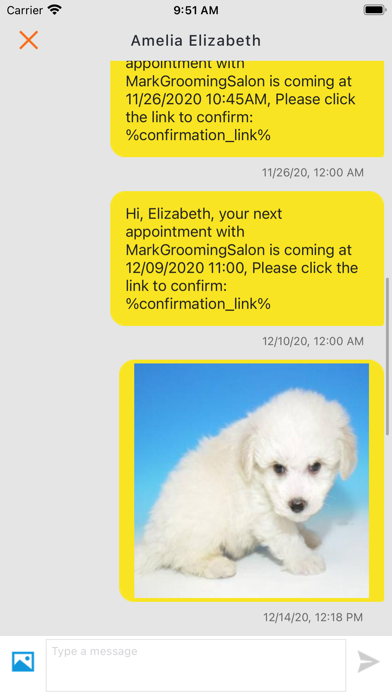 Capturas de tela do GrooMore Grooming Software