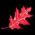 Red Oak