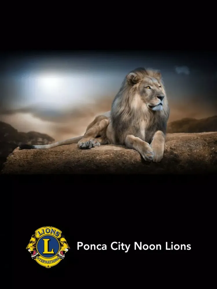 Скриншоты Ponca City Noon Lions iPad 