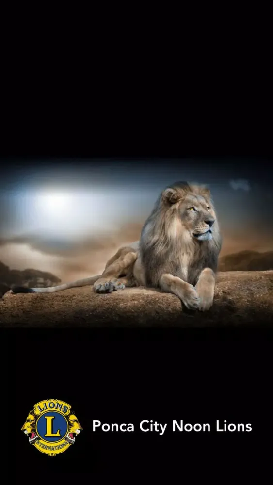 Скриншоты Ponca City Noon Lions