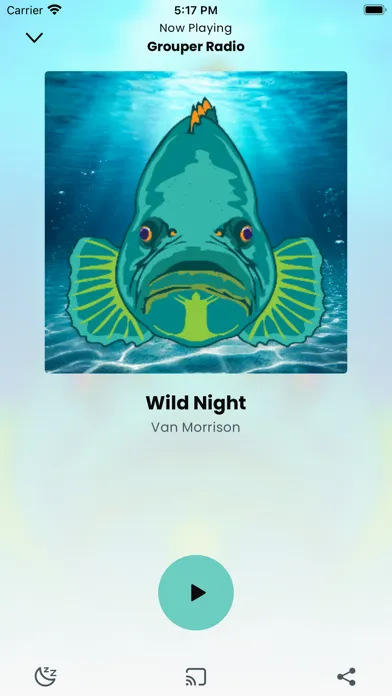 Captures d'écran de Grouper Radio