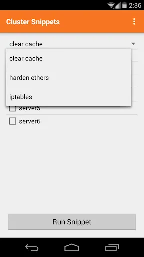 Captures d'écran de Cluster Snippet Plugin