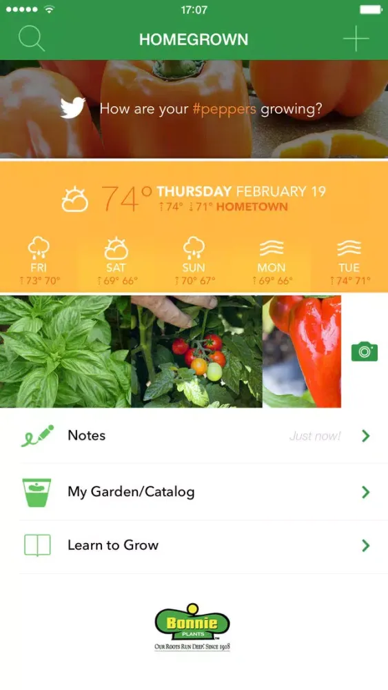 صور Homegrown with Bonnie Plants