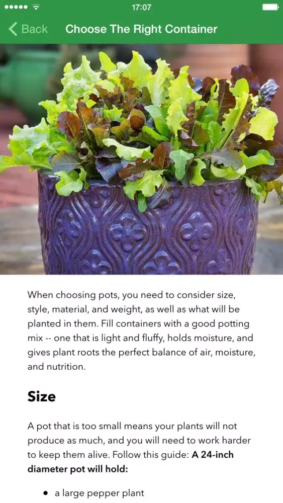 صور Homegrown with Bonnie Plants