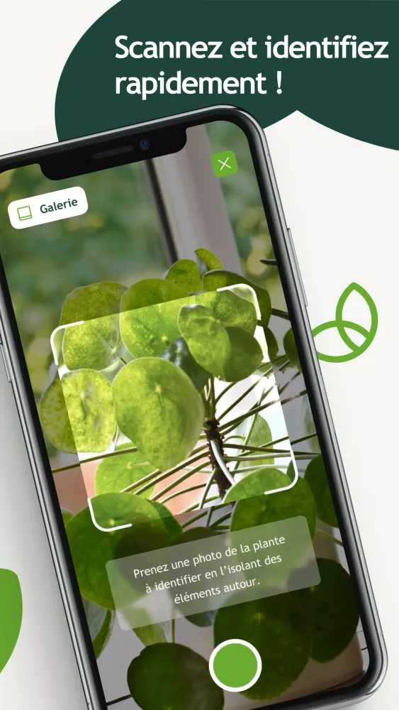 ภาพหน้าจอของ Groww