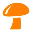 Myko-Fungi StarTree Myko-Fungi StarTree