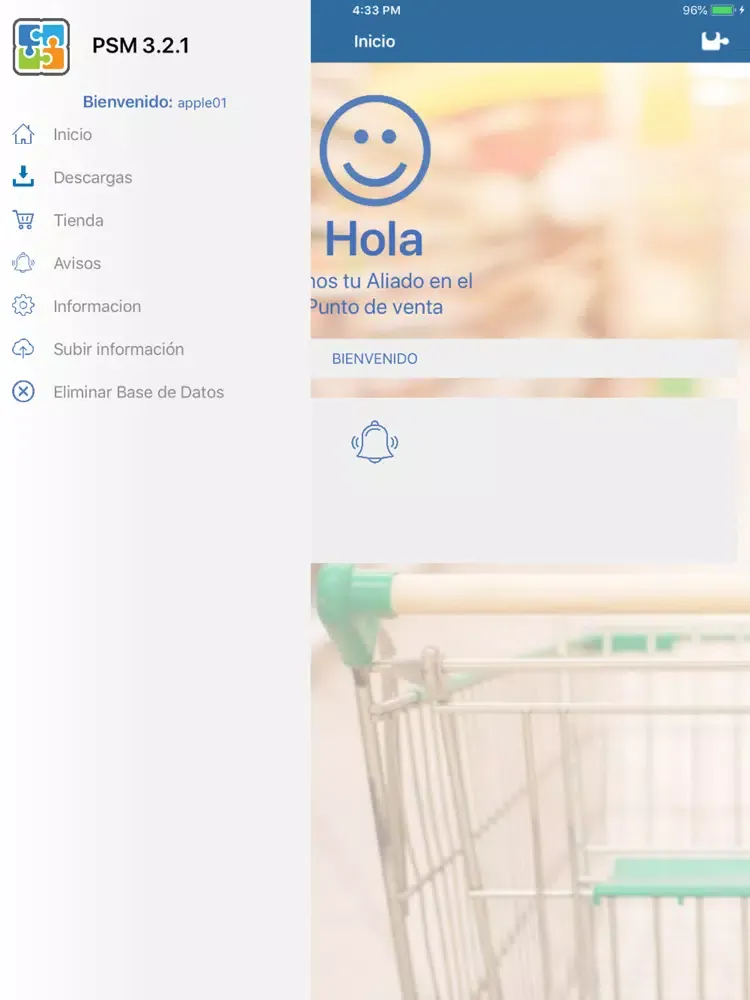 Tangkapan layar PSM Perfect Store Model iPad 