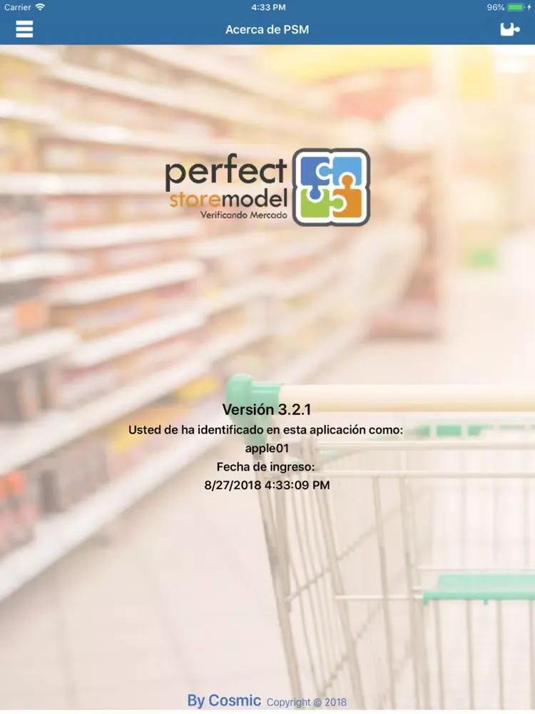Tangkapan layar PSM Perfect Store Model iPad 