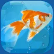AquaLife 3D AquaLife 3D