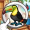 Spot The Hidden Objects Puzzle