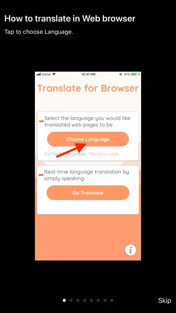 Language Translator Browser スクリーンショット