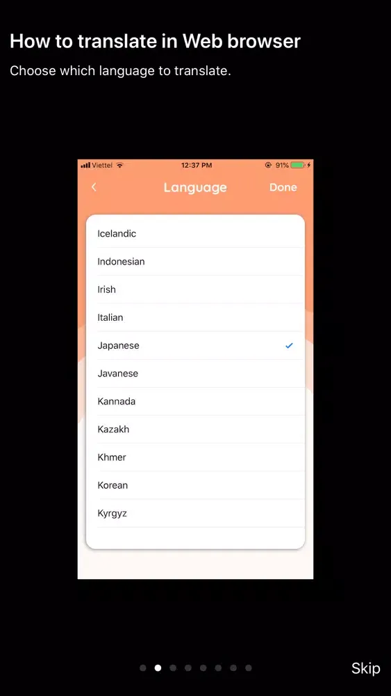 Language Translator Browser スクリーンショット