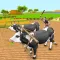 Village Farming Simulator 3D