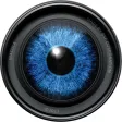 Macula Mobile Macula Mobile