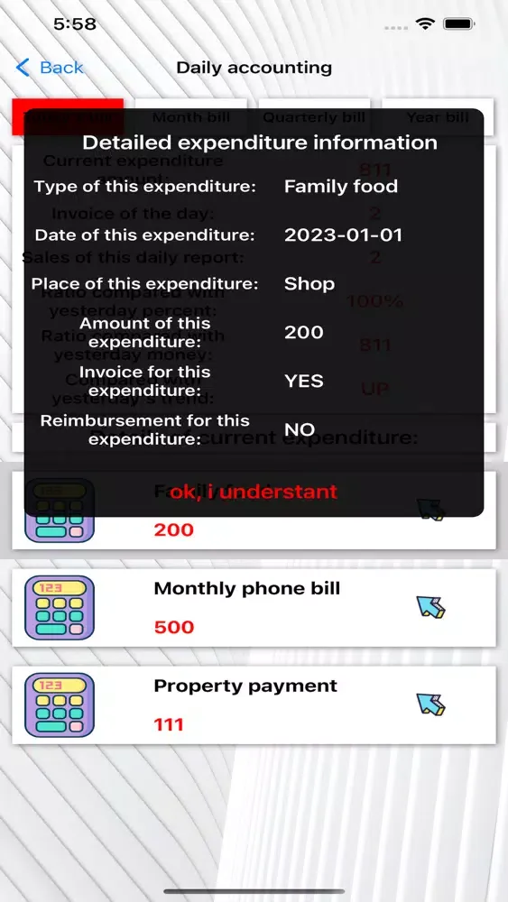 Daily accounting Screenshots