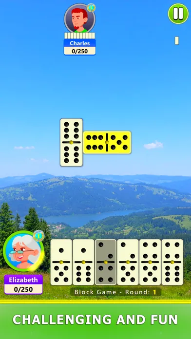 Dominoes Board Game 스크린샷