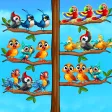 Bird Sort Puzzle Fun Game