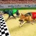 Dog Racing Tournament 2018