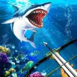 Underwater Spearfishing 2017 Underwater Spearfishing 2017