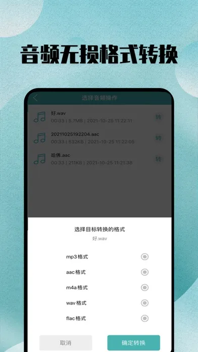 格式转换-音频视频图片格式文件转换器 Ekran Görüntüleri
