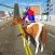 Horse Riding-Animal Race Game