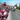 Speed Bike Challenge