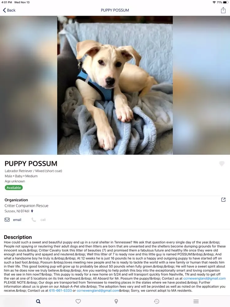 Rescue Finder: Adopt a Pet iPad  سکرین شاٹس