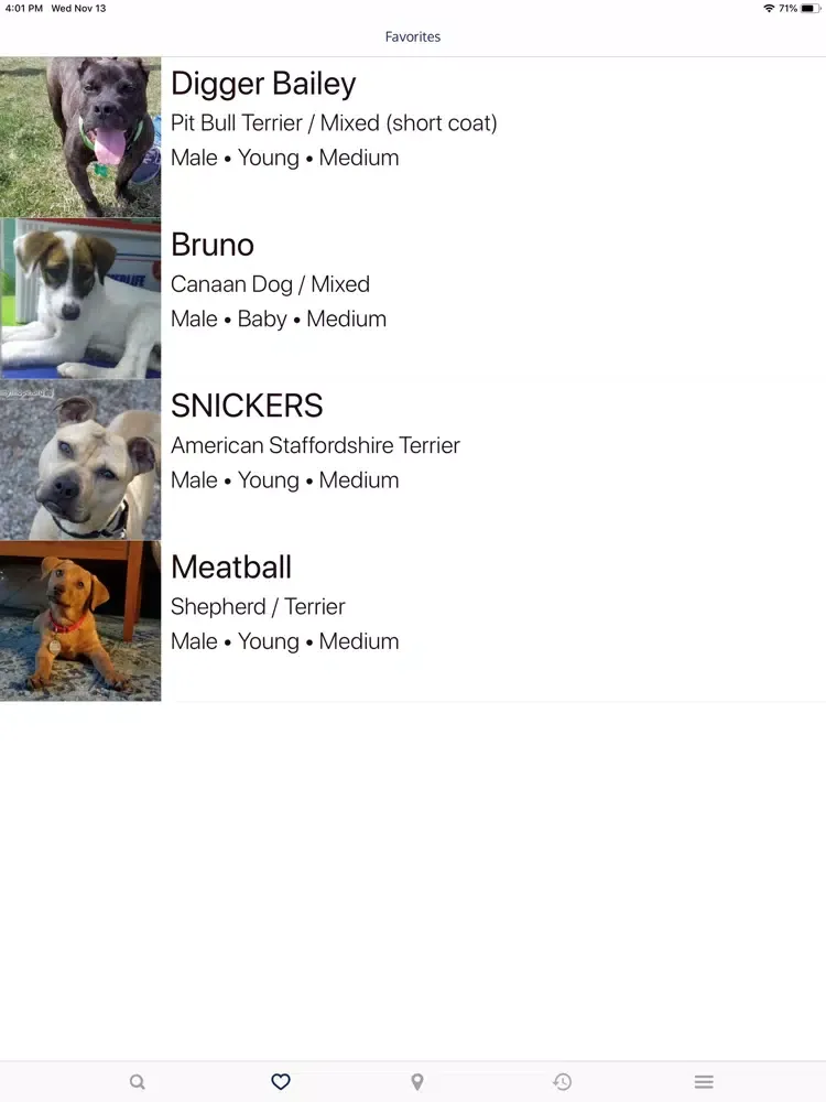 Rescue Finder: Adopt a Pet iPad  سکرین شاٹس