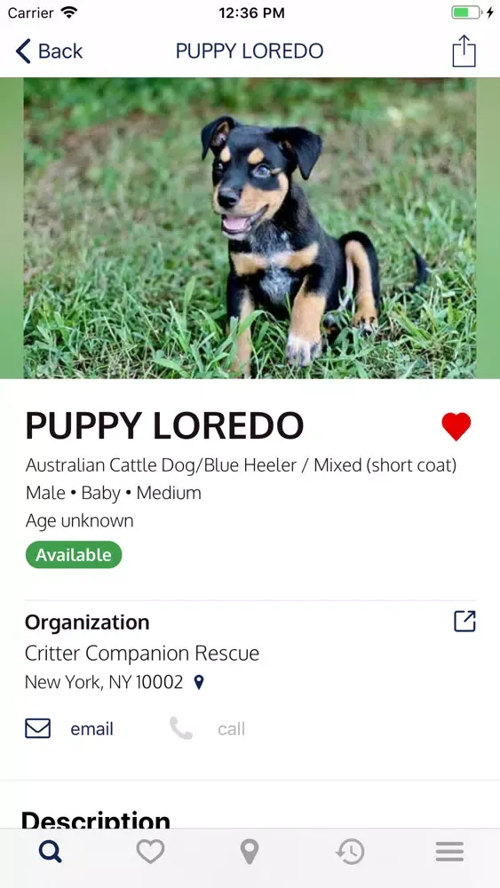 Rescue Finder: Adopt a Pet سکرین شاٹس