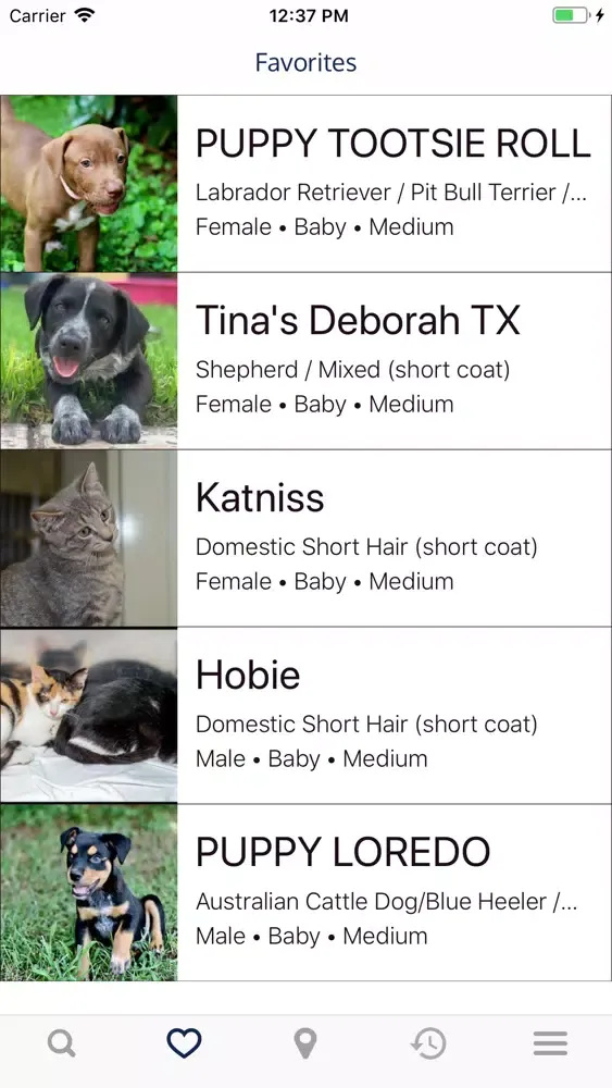 Rescue Finder: Adopt a Pet سکرین شاٹس